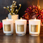 버크홀츠 센티드 캔들 컬렉션 - 코지 타임(Scented Candle Collection - Cosy Time) 선물 세트 : 유럽마을