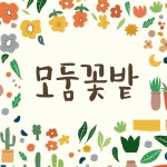 참뿌리파워 1000ml 뿌리발근제 뿌리영양제 나무영양제 소나무 이식 발근촉진제 : 모둠 꽃밭