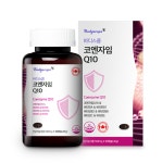 (3개월분) 바디스콥 항산화 혈액순환 코큐텐 코엔자임 Q10 500mg 소프트캡슐 90일분 : 달시스터즈