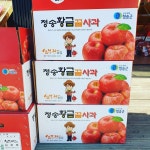 청송사과 껍질째먹는 꿀사과 가정용 선물용 2.5kg 5kg 10kg : 청송 심부자농장
