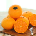 제주 고당도 명품 감귤 천혜향 2kg : 지장샘농장