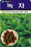 화분/밭에 키울수있는 녹차씨앗(10립) (A0886) : 구삼팔육마켓