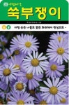 화려한 쑥부쟁이 씨앗(1리터)(A0772) : 구삼팔육마켓