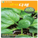 새싹다채(비타민채) 씨앗 30g : 수누피팜
