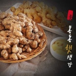 완주 봉동 생강 씨 종자용 흙 세척 : 식품의 품격