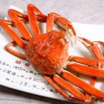 살아있는 활대게 자숙대게 대게찜 찐대게 1kg 속초 대포항 리뷰 No.1 맛집 대게바다 : 대게바다