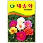 채송화 씨앗 250립 : 유림오피스