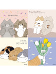 고양이다방 정사각 엽서 : 고양이다방마켓