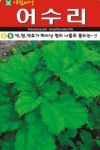 채소 종자 어수리씨앗(50립) (A0066) : 구삼팔육마켓