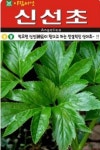 채소 종자 씨앗 신선초씨앗(100ml(20g)/중포장) (A0075) : 구삼팔육마켓