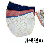 BYC 물랑루즈 여성용 샘방지 위생팬티 세트 E-13 : 모던레이스