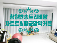 [창원 반송 트리비앙 커튼 설치해 드렸어요] 창원/마산/진해/장유/경남전지역 커튼&블라인드 전문 솔리드창 : 솔리드창