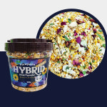 패러그린 하이브리드 드워프 햄스터 사료 500g / 햄스터 먹이 밥 : 햄찌네 햄스터