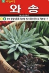 채소 종자 씨앗 와송씨앗(5000립) (A0082) : 구삼팔육마켓