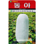 동아 씨앗 10립 덩굴성 박과 동아씨 종자 : 스토어 영농사