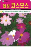 키가 작은 왜성 코스모스 씨앗(500ml)(A0622) : 구삼팔육마켓