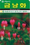 구하기힘든 금낭화 씨앗(20립)(A0717) : 구삼팔육마켓