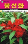인기있는 봉선화 씨앗(5000립)(A0640) : 구삼팔육마켓