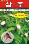 채소 종자 삽주씨앗 (100립) (A0050) : 구삼팔육마켓