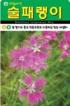 향기가 좋은 술패랭이 씨앗(500립)(A0702) : 구삼팔육마켓