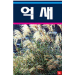 억새/참억새 씨앗 (400g) (A0016) : 구삼팔육마켓