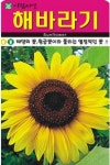 태양의 꽃 해바라기 씨앗(1L)(A0654) : 구삼팔육마켓
