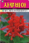 깨꽃 사루비아 씨앗(2000립)(A0648) : 구삼팔육마켓