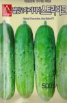 채소 종자 씨앗 스트라이크 오이 씨앗(500립) (A0198) : 구삼팔육마켓