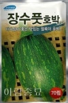 채소 종자 씨앗 장수풋호박 씨앗(70립)(A0188) : 구삼팔육마켓