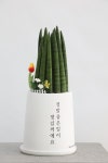 의정부 개업화분 : 1000nun