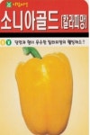 채소 종자 씨앗 소니아 골드 파프리카씨앗(10립) (A0164) : 구삼팔육마켓