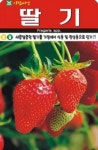 채소 종자 씨앗 딸기 씨앗(100립) (A0176) : 구삼팔육마켓