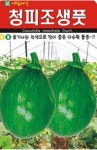 채소 종자 씨앗 청피조생풋 씨앗(20립) (A0152) : 구삼팔육마켓