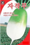 채소 종자 씨앗 자작무씨앗(20g) (A0261) : 구삼팔육마켓