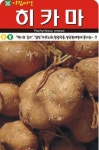채소 종자 씨앗 히카마씨앗(20립) (A0254) : 구삼팔육마켓