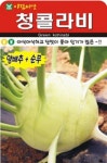 채소 종자 씨앗 청콜라비씨앗(300립) (A0262) : 구삼팔육마켓