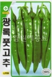 채소 종자 씨앗 광록풋고추 씨앗(1200립)(A0207) : 구삼팔육마켓