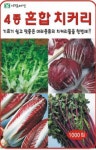 채소 종자 재배 씨앗 4종혼합치커리씨앗(1000립) (A0386) : 구삼팔육마켓