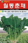 채소 종자 씨앗 월동춘채씨앗(600g) (A0281) : 구삼팔육마켓