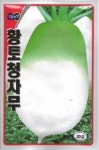 채소 종자 씨앗 황토청자무씨앗(30g) (A0274) : 구삼팔육마켓