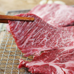 [와룡농협] 안동 1+등급 한우 등심 등채반 선물세트 1.5kg : 친환경팔도