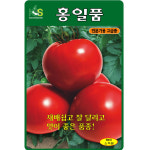 찰토마토씨앗 홍일품 50립 재배관리쉬운 완숙토마토 씨앗 : 스토어 영농사