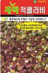 채소 종자 재배 씨앗 새싹적콜라비씨앗(30g) (A0448) : 구삼팔육마켓