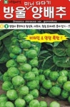 채소 종자 재배 씨앗 방울미니다다기양배추씨앗(500립) (A0329) : 구삼팔육마켓