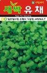 채소 종자 재배 씨앗 새싹유채씨앗(300g) (A0457) : 구삼팔육마켓