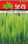 채소 종자 재배 씨앗 새싹보리씨앗(30g) (A0436) : 구삼팔육마켓