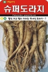 채소 종자 재배 씨앗 슈퍼도라지씨앗(1000립) (A0494) : 구삼팔육마켓