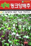 채소 종자 재배 씨앗 새싹핑크양배추씨앗(300g) (A0470) : 구삼팔육마켓