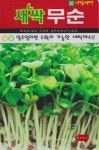 채소 종자 재배 씨앗 새싹무순씨앗(600g) (A0458) : 구삼팔육마켓