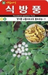 채소 종자 재배 씨앗 식방풍씨앗(10000립) (A0498) : 구삼팔육마켓